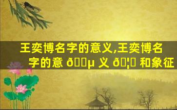 王奕博名字的意义,王奕博名字的意 🐵 义 🦟 和象征